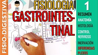 FISIOLOGIA GASTROINTESTINAL  RESUMEN Estructura Control Nervioso SN ENTERICO Sistema Digestivo1 [upl. by Notlef]