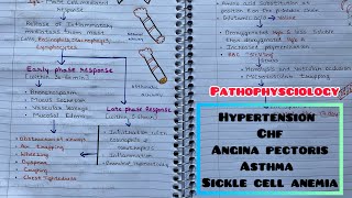 Important Pathophysciology For ExamPathogenesis Of HypertensionCHFAsthmaSickle Cell Anemia [upl. by Ynohtnad217]