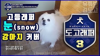 김도고 고등래퍼 눈 커버  강아지 리믹스 버전 가사 gabe the dog cover [upl. by Knapp]