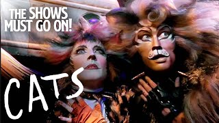 The Curious Cat The Rum Tum Tugger from CATS  Cats The Musical  The Shows Must Go On [upl. by Nayb]