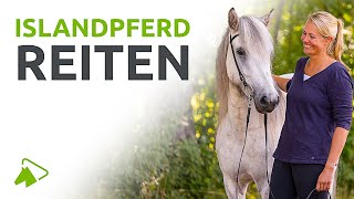 Islandpferde reiten Der Grundkurs  wehorse [upl. by Leticia]