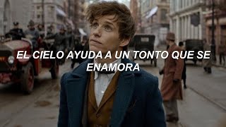 Esta cancion le queda perfecta a Newt ScamanderThe Lumineers  Ophelia Sub Español [upl. by Roee]