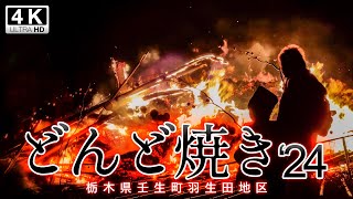 どんど焼き2024年 （栃木県壬生町） [upl. by Pell586]