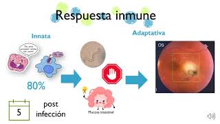 Toxocara cati [upl. by Carl]