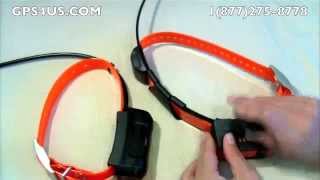 Garmin TT10 and DC40 Dog Tracking Collars Comparison [upl. by Aynat]