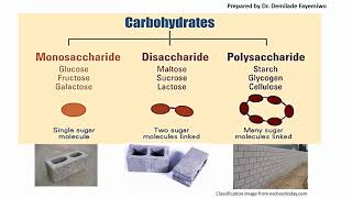 Chapter 21 Biological Molecules  Carbohydrates [upl. by Letsyrc]