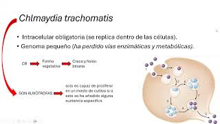 Chamydia trachomatis [upl. by Hsekin]