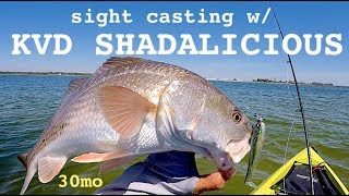 quotSEXY SHADALICIOUSquot Redfish amp Trout KVD soft plastics  Pensacola Florida [upl. by Emsoc]