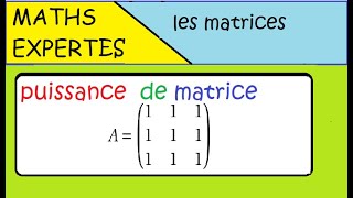 Terminale Maths Expertes Les matrices  exercice  puissance dune matrice [upl. by Salem474]