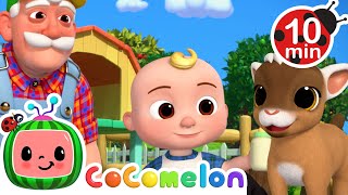 JJ Helps Baby Farm Animals Escape  CoComelon Kids Songs amp Nursery Rhymes [upl. by Eded415]