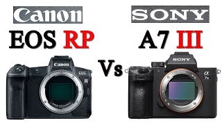 Canon EOS RP vs Sony a7 III [upl. by Nodnarg]