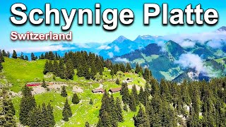 Experience the Worlds Most Beautiful Scenic Train Ride at Schynige Platte Switzerland [upl. by Ahseital]