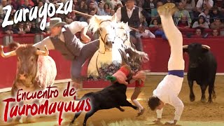 III Encuentro de Tauromaquias RECORTADORES ZARAGOZA TOROS 2016 [upl. by Russel]