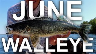 Walleye Bite Tough TRY THIS [upl. by Aij]