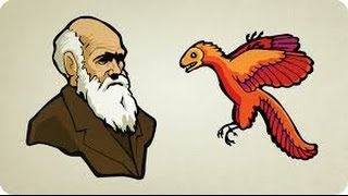 what is evolution  ما هي نظرية التطور [upl. by Adekahs]