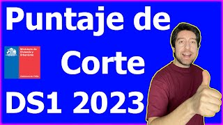 Subsidio ds1 2023 🥇 RESULTADOS primer llamado [upl. by Dina]