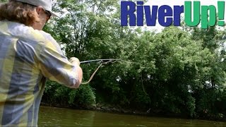 Fly Fishing the Huron Ypsilanti Michigan [upl. by Aicemaj]