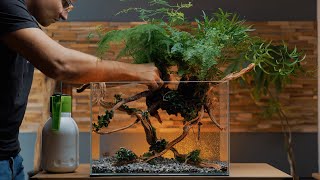 New Luxury Planted Tank for my 3 Years Old Betta  Aquascape Tutorial [upl. by Inaluahek843]