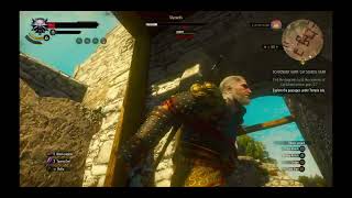 NEW Slyzard Fight Witcher 3 Wild Hunt Complete Edition Next Gen 2023 [upl. by Nivlak]