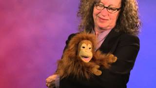 Folkmanis® Baby Orangutan Puppet Demo  Retired [upl. by Sukcirdor]