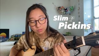 Slim Pickins  Sabrina Carpenter cover [upl. by Manon381]