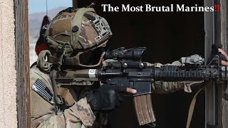 The Most Brutal Marines NATO Battle Groups Sharpen Urban Warfare Skills [upl. by Etnauj763]