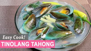 THE BEST TINOLANG TAHONG  HUNGRY MOM COOKING [upl. by Emmerich]