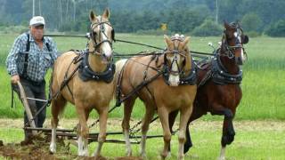 Lynden International Horse Plowing Competition 2016 [upl. by Ahsatel]