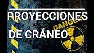 Proyecciones Básicas del Cráneo [upl. by Atibat724]