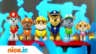 Psi Patrol Polska  Piosenka Czołówkowa Muzyka  Nick Jr [upl. by Elamrej]