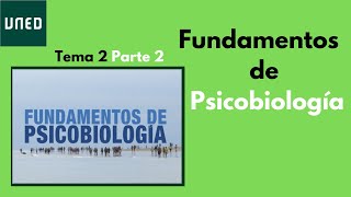 Cromosomas mitosis y meiosis  FÁCIL  Psicobiología Tema 2 Parte 2  UNED [upl. by Llerrem]