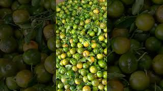 calamansi sarap asim [upl. by Frederick]