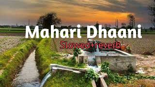 Mahari Dhaani main slowedreverb  Haryanvi song [upl. by Wamsley]