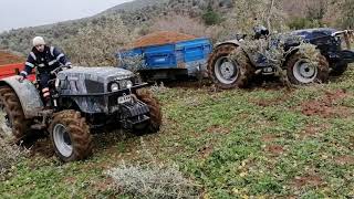 Tümosan 5265 ve Landini rex 110 gt gübre çekme [upl. by Bittencourt]