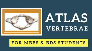 Anatomy of Atlas Vertebra I First Cervical vertebra I Vertebral Column Anatomy [upl. by Klaus]