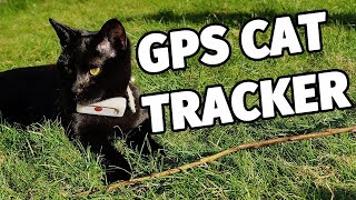 Small GPS cat tracker  Weenect GPS Pet Tracker Review [upl. by Godrich]