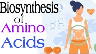 Biosynthesis of Amino Acidsnon essential  Lecture 9 [upl. by Lotta]