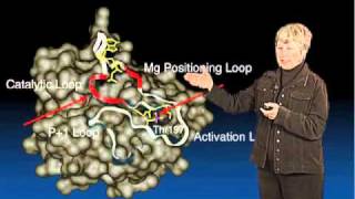 Susan Taylor UCSD Part 2 Architecture of a Protein Kinase [upl. by Ahsinauq]