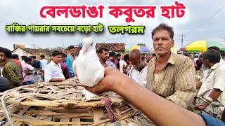 কবুতর হাট ২৪০৯২০২৪  Beldanga Hat Murshidabad  Beldanga Pigeon Market 🕊 [upl. by Htomit727]