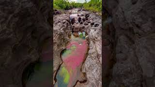 Caño Cristales in Colombia The Five Color River [upl. by Htebasyle]