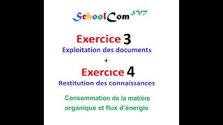 Exercice 3 Exercice 4 quotUnité 1  Consommation de la matière organique et flux d’énergiequot [upl. by Bourque59]