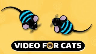 CAT GAMES  Mouse Mice Video For Cats  CAT amp DOG TV  1 Hour [upl. by Dorris]