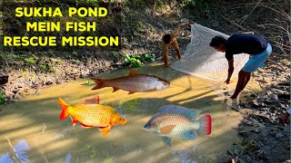 Fish Rescue Mission in a Village Pond❤️💙😢🙏 [upl. by Drawoh256]