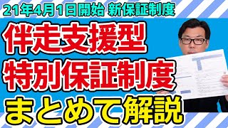 4月からの新保証制度「伴走支援型特別保証制度」の概要 [upl. by Elletnohs]