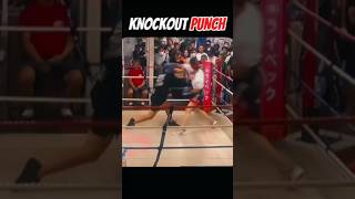 Overhand punch knockout  fit Aditya shortsvideo mma amerca america boxing boxingskills [upl. by Creedon]