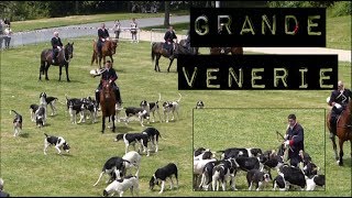 Démonstration de Grande Vénerie Dimanche  Championnat de France du chien de race Nantes [upl. by Rumney]