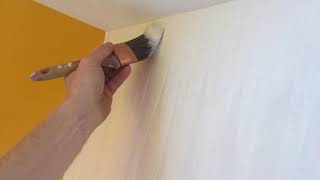 How To Paint Textured Vinyl Wallpaper  Spencer Colgan [upl. by Dorita509]