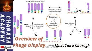 Phage Display  an overview  How does phage display technology work✍✍ [upl. by Aivekal821]