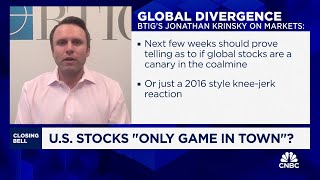 US stocks seem to be only game in town right now says BTIGs Jonathan Krinksy [upl. by Dnilazor750]