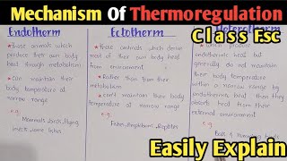 Mechanism Of Thermoregulation  Ectotherm  Endotherm  Heterotherm  Poikilotherm  Homeotherm [upl. by Nolos]